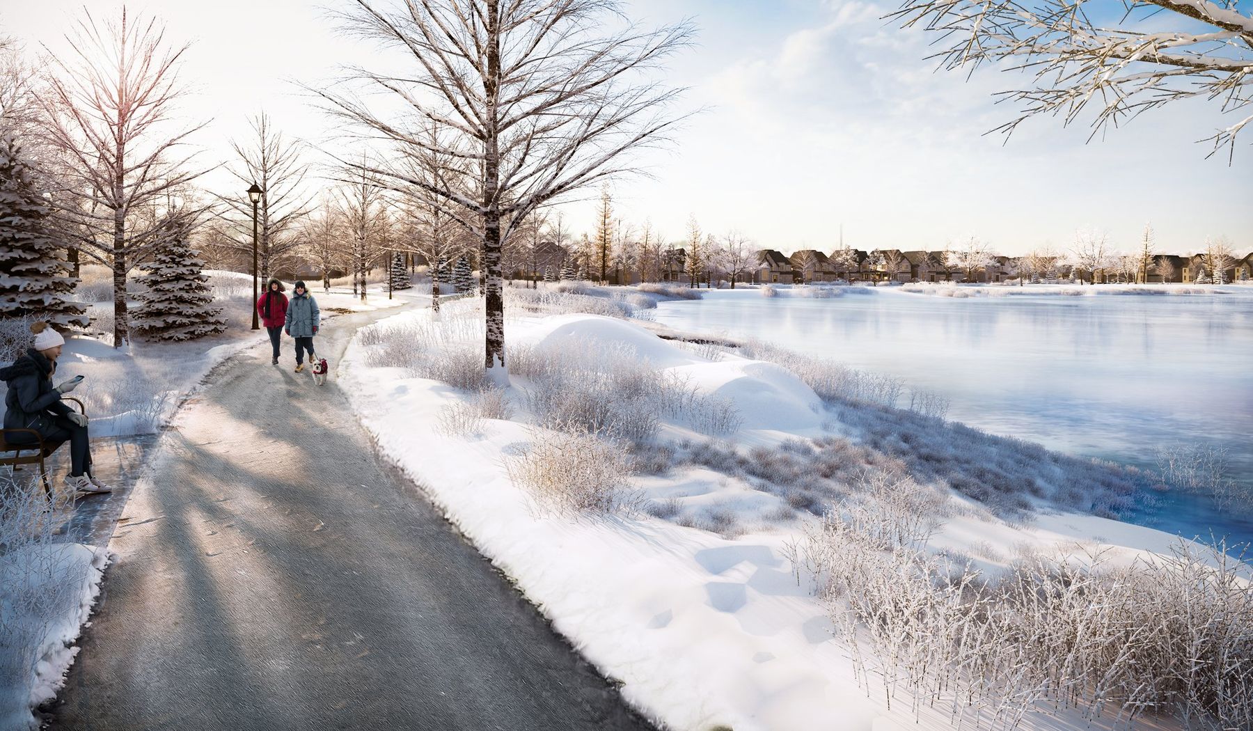 Winter pond trail rendering