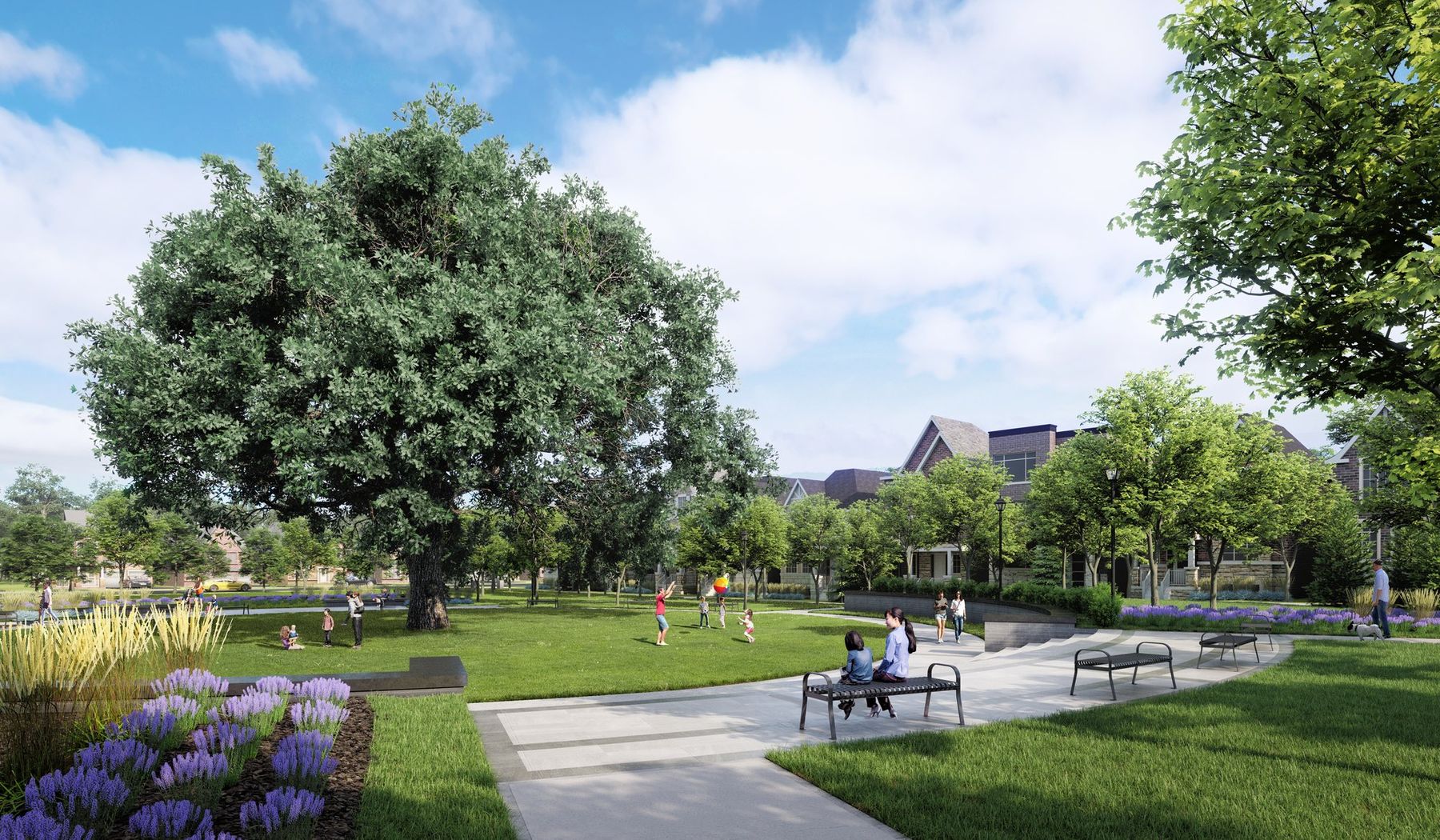 Village square park in summer rendering
