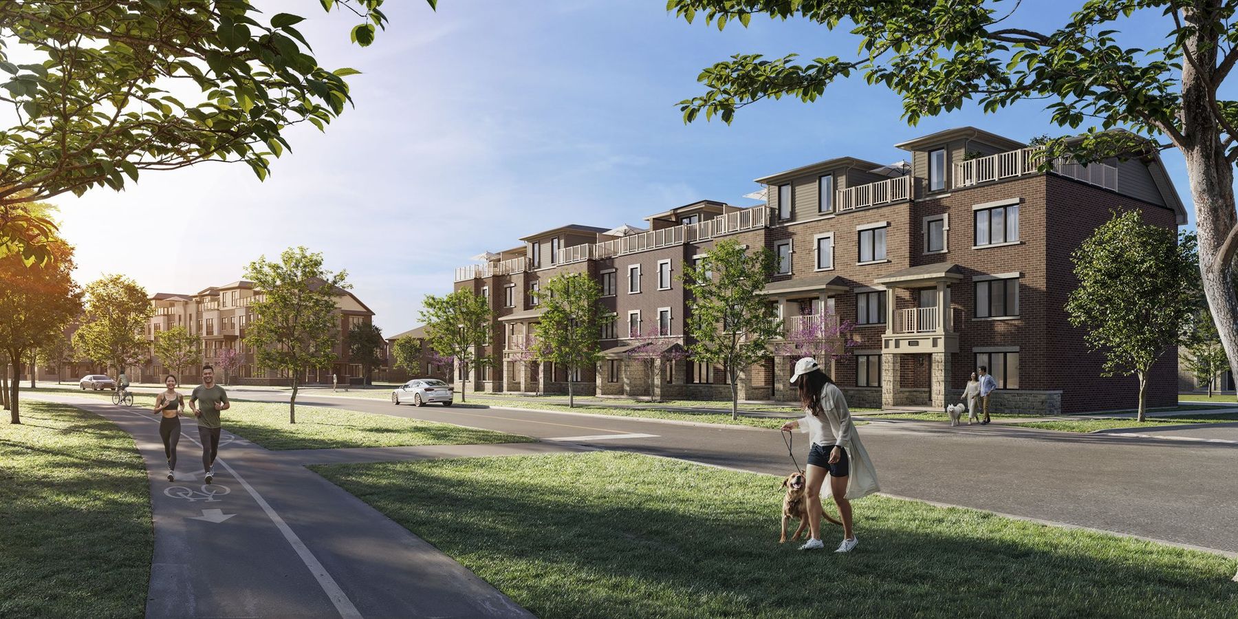 Townhome streetscape rendering